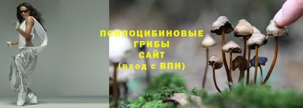 круглые Алзамай