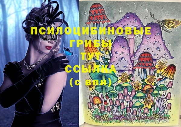 круглые Алзамай