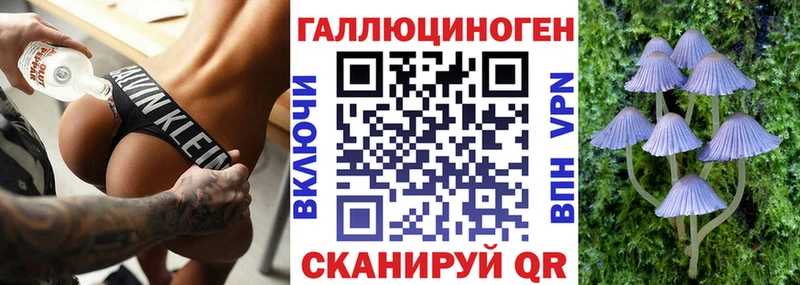 где купить   Канаш  Псилоцибиновые грибы Psilocybine cubensis 