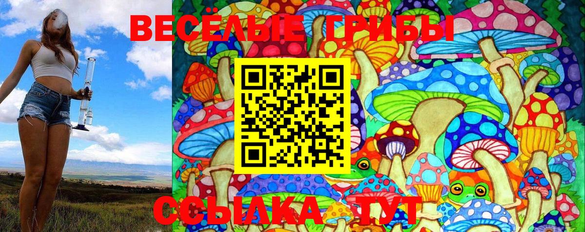 Псилоцибиновые грибы GOLDEN TEACHER Канаш