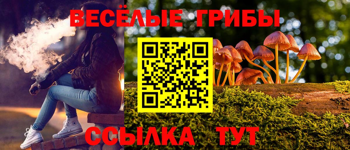 Псилоцибиновые грибы Psilocybe  Вход с VPN  Канаш  Псилоцибиновые грибы ЛСД 