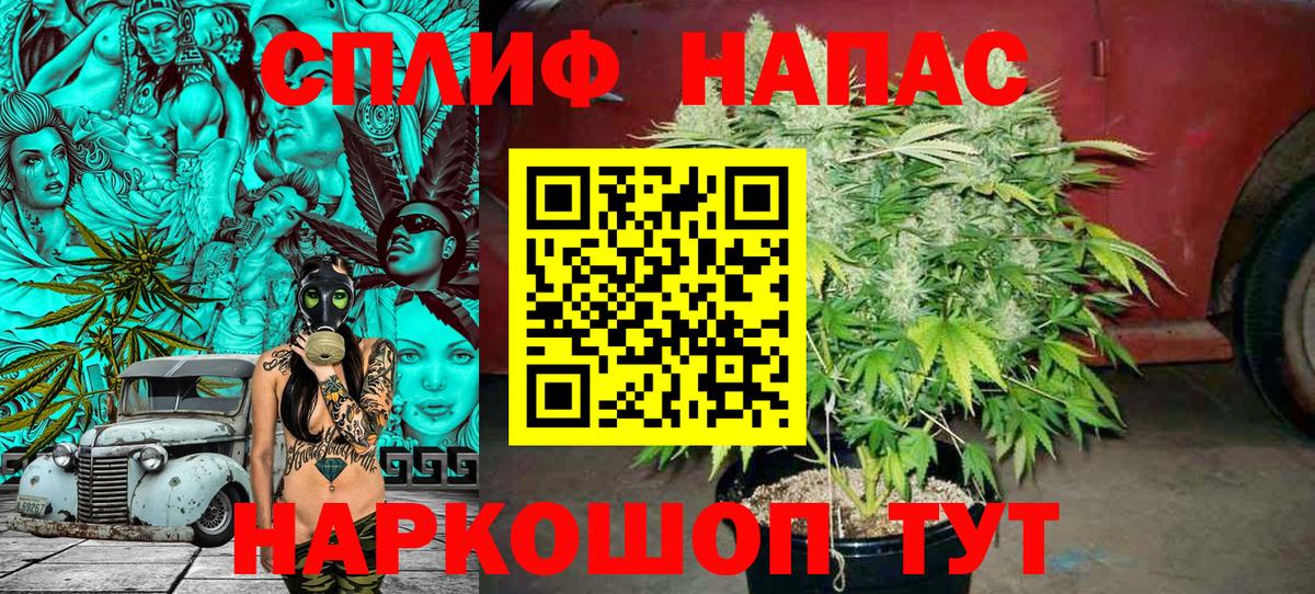 Марихуана конопля Канаш